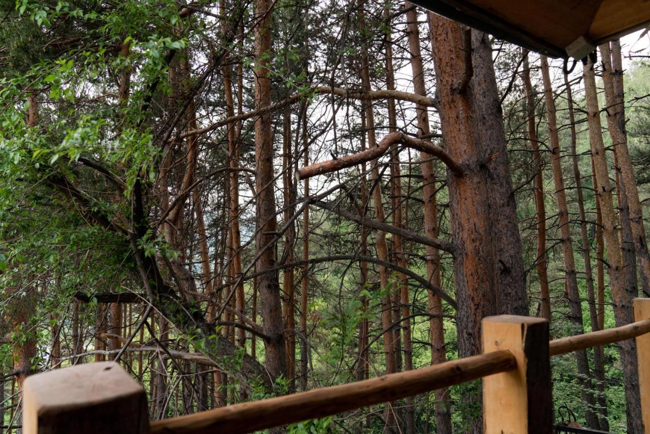 Qazaq Auyl Eco Hotel Alma-Ata Buitenkant foto