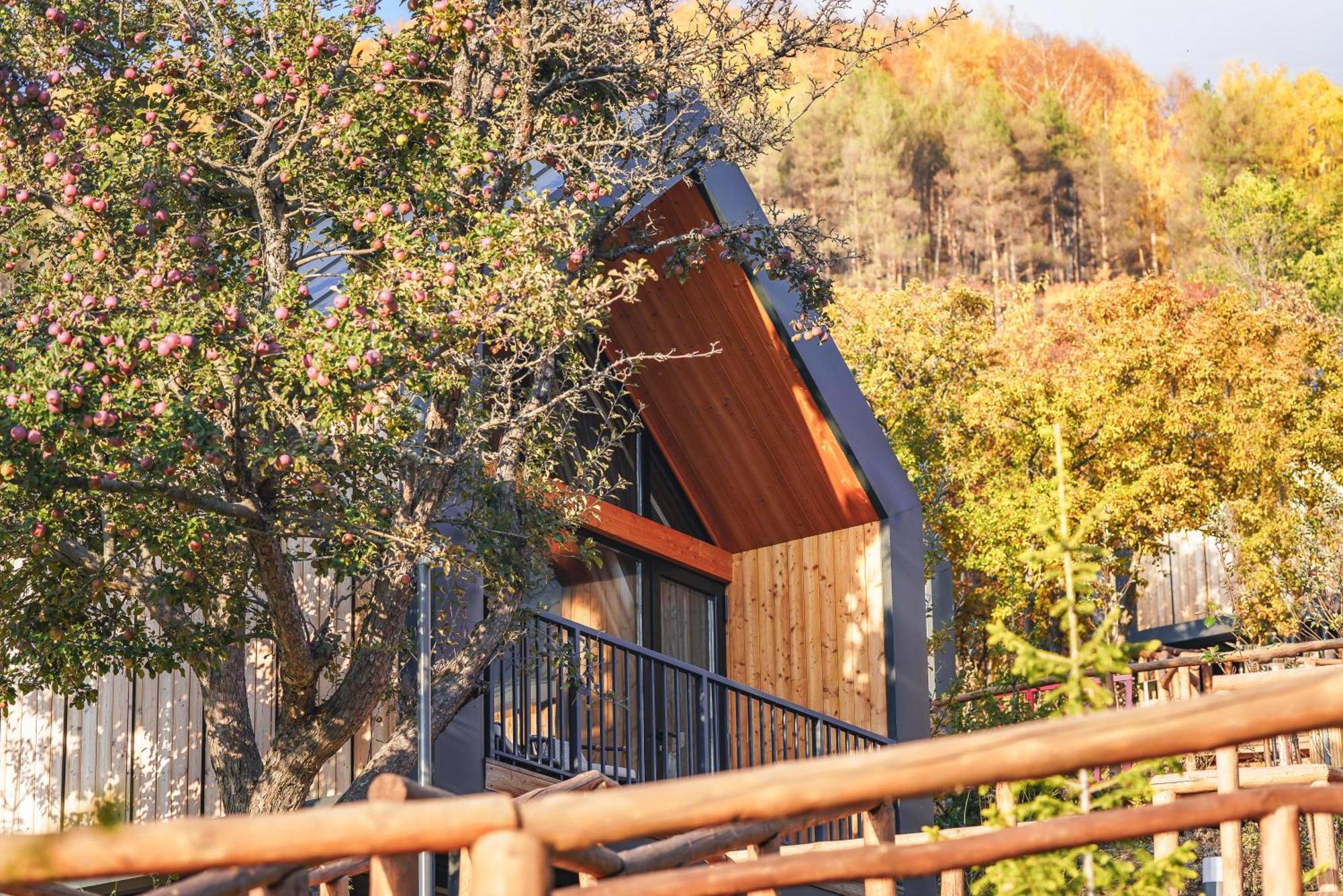 Qazaq Auyl Eco Hotel Alma-Ata Buitenkant foto
